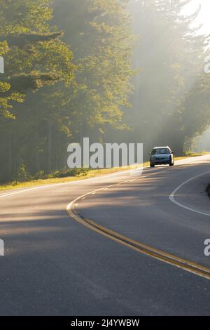 Soleil matinal le long de l'autoroute Kancamagus (route 112), dans les White Mountains, New Hampshire. Banque D'Images