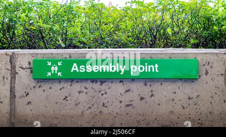 Affiche informative de point d'assemblage verte avec icône de personnes sur le mur avec haie à l'extérieur dans les lieux publics en Angleterre. Banque D'Images