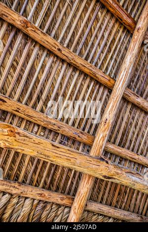 Détail du toit de chaume de la hutte dans la cour de Schnebly’s, le domaine viticole le plus au sud des États-Unis, situé à Miami-Dade, Floride. Banque D'Images