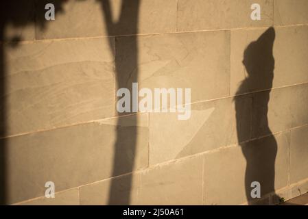 Poses avec ombres liées à la santé des jeunes femmes Banque D'Images