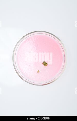 Vue ci-dessus de la boîte de Petri contenant un morceau de moule cultivé en substance rose en laboratoire chimique pour une nouvelle expérience Banque D'Images