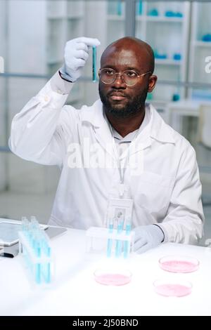 Jeune scientifique afro-américain sérieux en blancoat analysant le liquide bleu tout en tenant le tube à essai devant son visage en laboratoire Banque D'Images