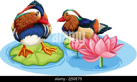 Deux canards dans l'étang avec illustration de fleur de lotus Illustration de Vecteur