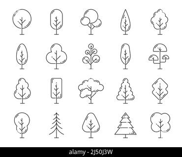 Icônes de contour des arbres forestiers et des plantes. Jardin isolé et parc arbres jeu de pictogrammes à ligne mince, écologie et environnement plantes symboles vectoriels, nature flore et botanique signes minimaux, arbres icônes à ligne mince Illustration de Vecteur