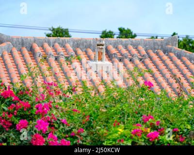 Maison traditionnelle sur l'île d'Iriomote, préfecture d'Okinawa, Japon Banque D'Images