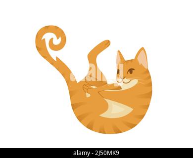 Dessin animé de chat gingembre jouant avec queue animal dessin dessin animé illustration vectorielle isolée sur fond blanc Illustration de Vecteur