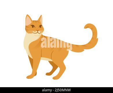 Dessin animé de chat au gingembre debout sur le sol dessin animé animal dessin vectoriel illustration isolée sur fond blanc Illustration de Vecteur