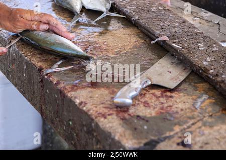 Pêcheur préparant du poisson de Jack frais sur une surface en pierre pour le vendre aux habitants de Playa Grandi (Playa Piscado) sur l'île des Caraïbes Curaçao Banque D'Images