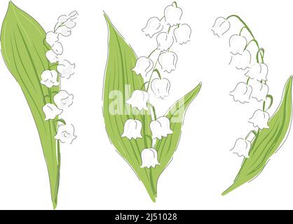 Nénuphars de la vallée fleur de printemps botanique dessin à la main illustration vectorielle ensemble isolé sur blanc. Vintage romantique cottage jardin fleuris curiosité cabinet esthétique imprimé. Illustration de Vecteur