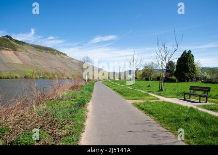 Paysage avec la Moselle et les vignobles à proximité de Trèves, rhin pays palatin en Allemagne, chemin à côté du lit de la rivière Banque D'Images