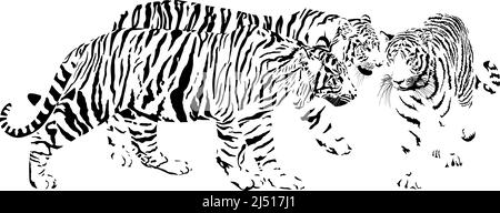 Trois tigres, Latin Panthera tigris tigris Illustration de Vecteur