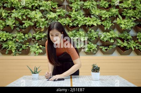 La serveuse balaye la table au restaurant. Gros plan de la table de nettoyage des mains de femme avec un chiffon humide. Banque D'Images
