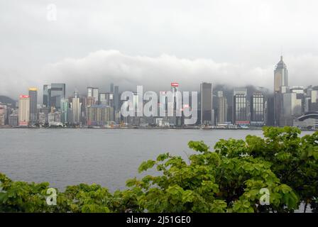 Port Victoria, Hong Kong, Chine : vue sur le port Victoria en direction des quartiers WAN Chai et Causeway Bay de Hong Kong avec des arbres de premier plan. Banque D'Images