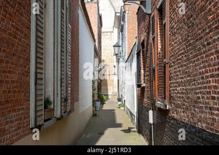 MECHELEN, Malin, Anvers, BELGIQUE, mars 28, 2022, allée vide dans le grand beguinage ou Groot Begijnhof de Mechelen, Flandre, Belgique, classé au patrimoine mondial de l'UNESCO. Photo de haute qualité. Banque D'Images