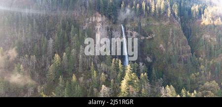 Une cascade pittoresque plonge à plus de 500 mètres d'une falaise dans la gorge du fleuve Columbia, Oregon. Les forêts et les rivières prédominent dans cette région de la PNW. Banque D'Images