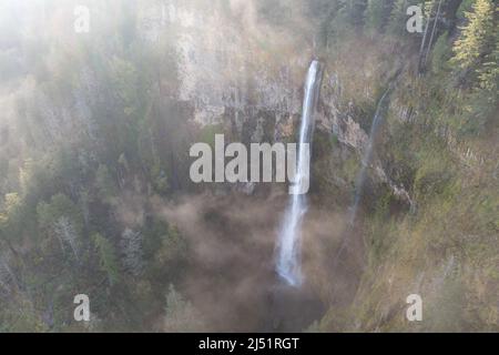 Une cascade pittoresque plonge à plus de 500 mètres d'une falaise dans la gorge du fleuve Columbia, Oregon. Les forêts et les rivières prédominent dans cette région de la PNW. Banque D'Images