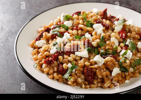 Salade de tomates Farro maison et fines herbes dans une assiette sur la table. Horizontale Banque D'Images