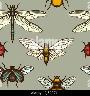 Motif d'arrière-plan sans coutures fines herbes de thé. Style gravé. Insecte dessiné à la main. Illustration de Vecteur