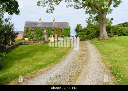 Ancienne ferme irlandaise, construite et modifiée entre 1880 et 1930, couverte de verge de boston et de virginie. Banque D'Images