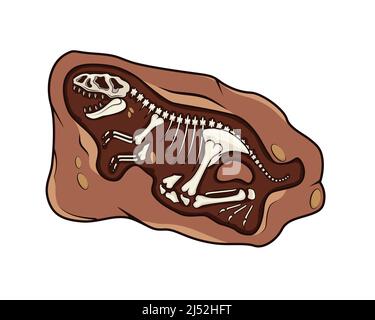 Illustration détaillée des fossiles de dinosaures avec vecteur de style dessin animé Illustration de Vecteur