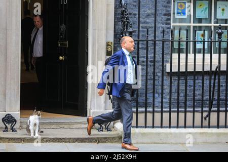 Londres, Royaume-Uni. 19th avril 2022. Andrew Griffith, directeur de l'unité des politiques no 10, quitte la rue Downing no 10 après la réunion du Cabinet, avec Larry le gardien de chat à la porte. Credit: Imagetraceur/Alamy Live News Banque D'Images