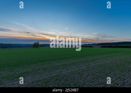 Un paysage de printemps avec des collines ondoyantes dans le sud du Limbourg pendant un coucher de soleil spectaculaire avec une rangée de peupliers, créant le sentiment italien Banque D'Images