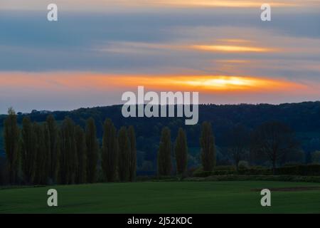 Un paysage de printemps avec des collines ondoyantes dans le sud du Limbourg pendant un coucher de soleil spectaculaire avec une rangée de peupliers, créant le sentiment italien Banque D'Images