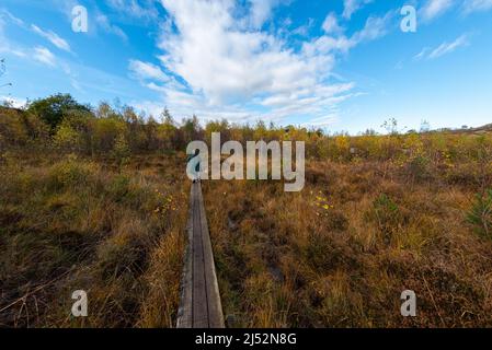 Promenade étroite sur une tourbière à l'automne Banque D'Images