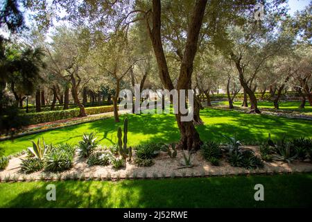 Jardins bahá'í Haifa - balcon (place Sainte bahá'íe) Banque D'Images