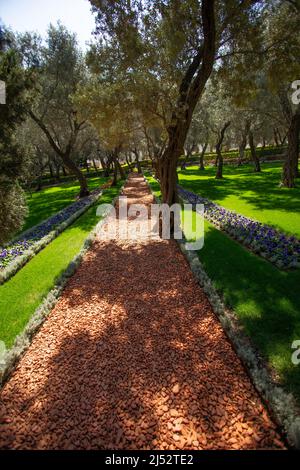 Jardins bahá'í Haifa - balcon (place Sainte bahá'íe) Banque D'Images