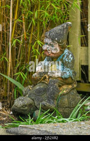 gnome de jardin à cheval tortue Banque D'Images