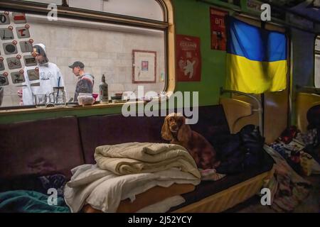 Kharkiv, Kharkiv Oblast, Ukraine. 19th avril 2022. Un chien est vu à l'intérieur d'une voiture de métro dans la station de métro Maidan Konstytutsii de Kharkiv, où les gens sont en refuge depuis le début de la guerre. (Image de crédit : © Laurel Chor/SOPA Images via ZUMA Press Wire) Banque D'Images