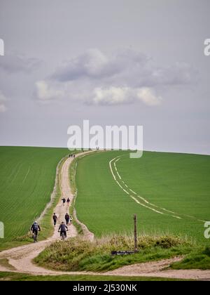 Marcheurs et cyclistes sur la South Downs Way en regardant vers l'est à Bignor Hill dans West Sussex. Banque D'Images