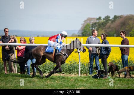 Course de poney à Old Berkshire Hunt point to point, Lockinge, Royaume-Uni 19 avril 2022 Banque D'Images