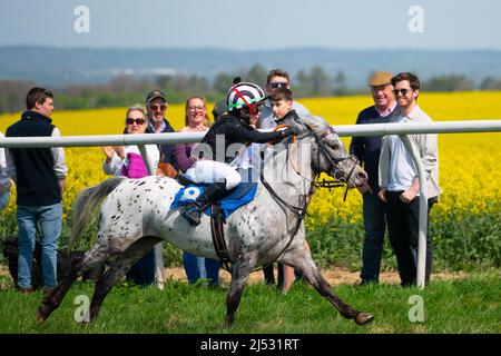 Course de poney à Old Berkshire Hunt point to point, Lockinge, Royaume-Uni 19 avril 2022 Banque D'Images