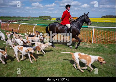 Huntmen and Hounds 19 avril 2022 Banque D'Images