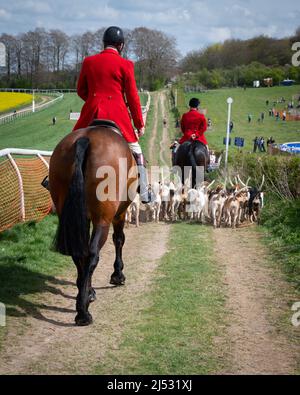 Huntmen and Hounds 19 avril 2022 Banque D'Images