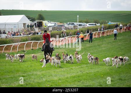 Huntmen and Hounds 19 avril 2022 Banque D'Images