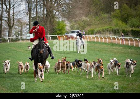 Huntmen and Hounds 19 avril 2022 Banque D'Images