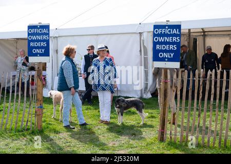 Old Berkshire Hunt point to point, Lockinge, Royaume-Uni 19 avril 2022 Banque D'Images