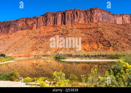 Accès à Sandy Beach Colorado River Red Rock Canyon Reflection Green Grass Moab Utah USA Southwest. Banque D'Images