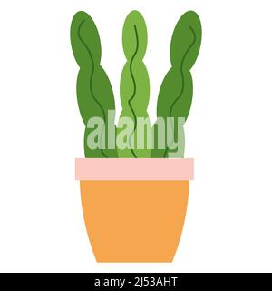 Sansevieria avec trois feuilles dans pot de fleur carré orange. La composition est isolée sur fond blanc. Convient pour le scrapbooking, textile, housse pour ordinateur portable, vaisselle, mugs, site web. Illustration vectorielle Illustration de Vecteur