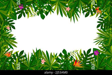 Feuillages botaniques tropicaux bannière fleur style plat. Fond de printemps d'été de jungle de monstre de feuilles de palmier exotique. Design spa salon de beauté cosmétiques modèle de présentation promotion excursion paradis voyage Illustration de Vecteur