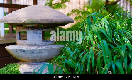 Jardin japonais. Une lampe en pierre et une plante aux feuilles vertes étroites ornent un jardin japonais. Harmonie dans la nature. Banque D'Images