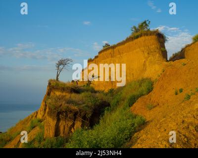 Paysage marin avec côte abrupte d'argile et mer sur le fond Banque D'Images