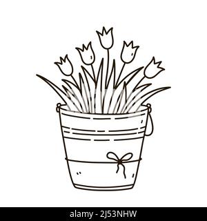 Seau avec tulipes isolées sur fond blanc. Illustration vectorielle dessinée à la main, style doodle. Parfait pour les motifs de vacances, les cartes, le logo, les décorations. Joli bouquet de fleurs. Illustration de Vecteur