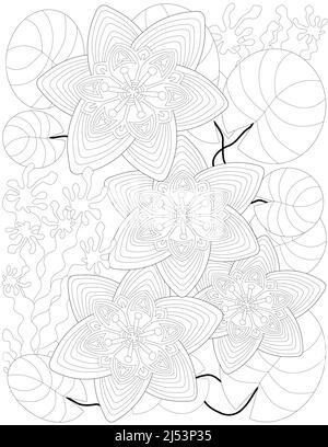 Ligne vectorielle dessin stylisé quatre fleurs de lotus flottant feuilles lac. Image numérique de ligne de pêche élaborée eau florale bassin de natation. Illustration de contour Illustration de Vecteur