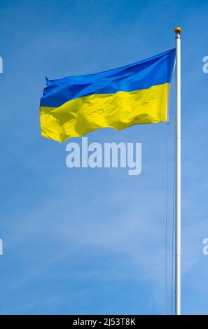 Drapeau de l'Ukraine ou drapeau ukrainien volant contre le ciel bleu en Angleterre, au Royaume-Uni, pour montrer son soutien à la population de l'Ukraine dans la guerre de Russie Ukraine. Banque D'Images