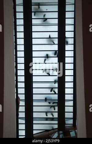 Des pieds de personnes marchant sur une passerelle en verre, en haut. Banque D'Images