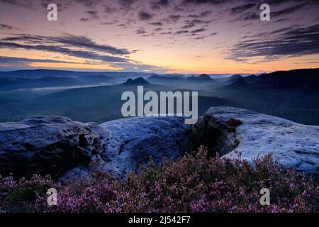 Kleiner Winterberg, belle vue du matin sur la falaise de grès dans la vallée profonde de la brume en Saxe Suisse. Les pics de grès ont augmenté à partir du bac brumeux Banque D'Images